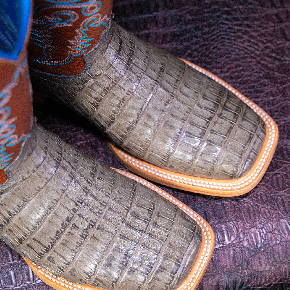 The Alligator Rancher