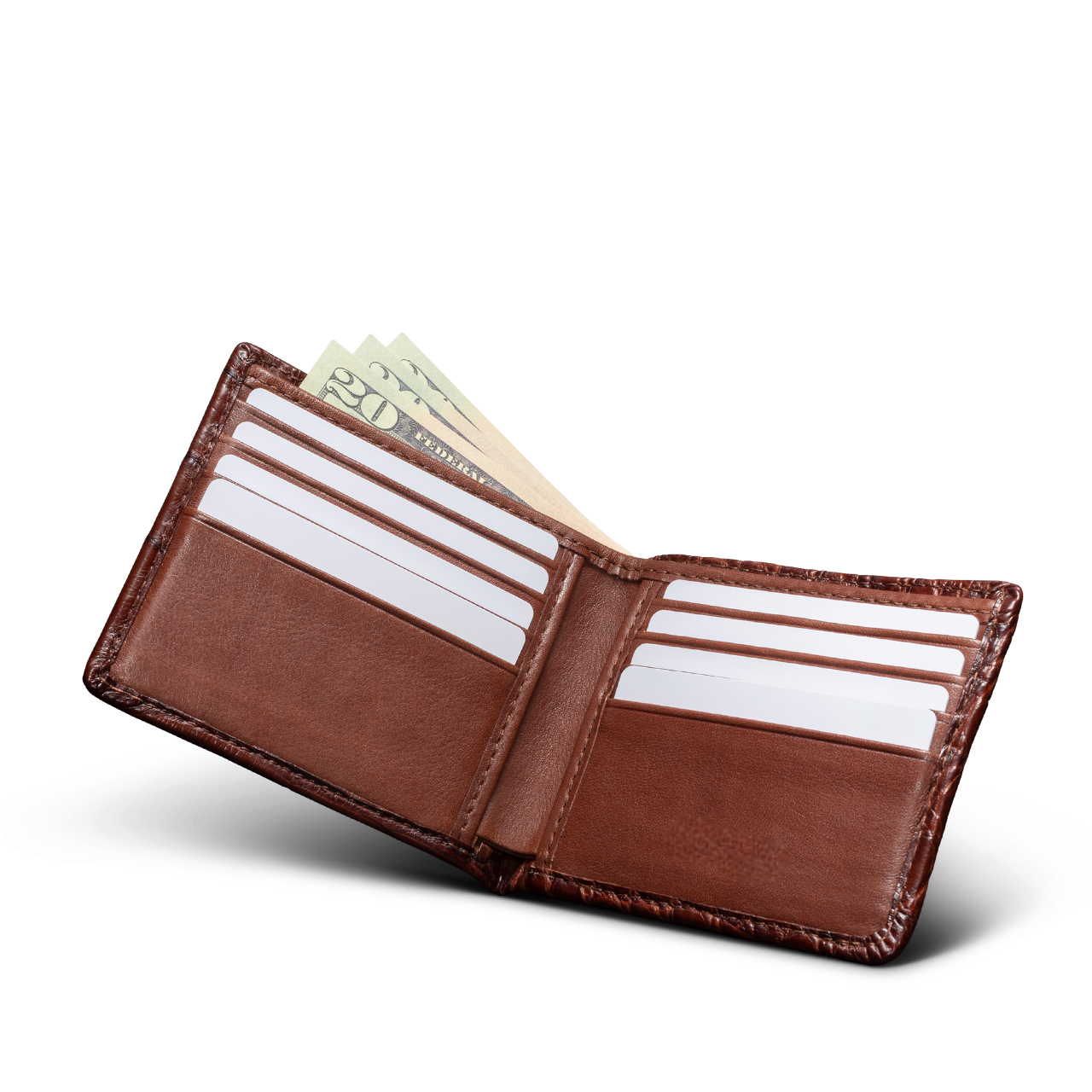 Alligator Billfold