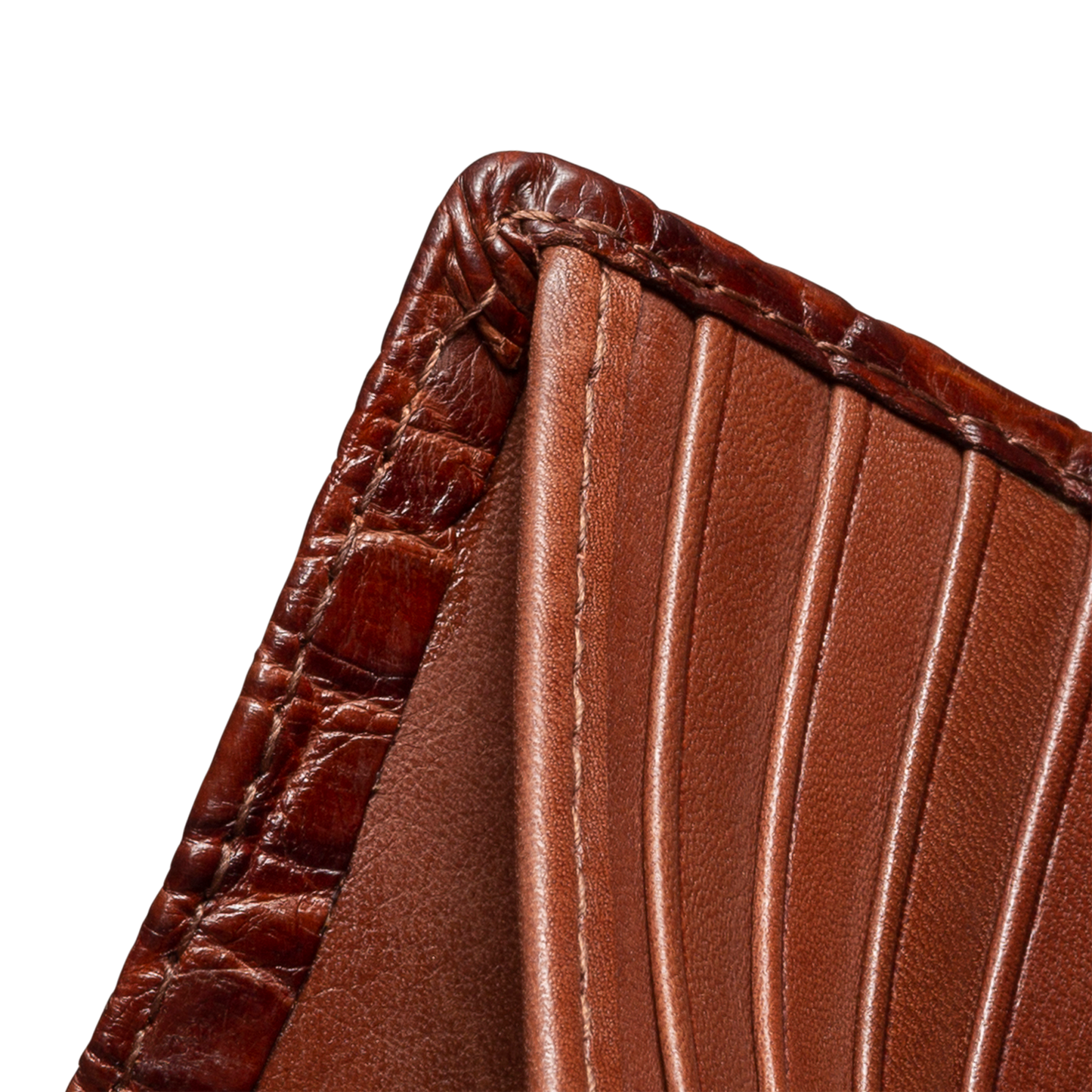 Alligator Billfold